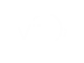 VIT Footer Logo